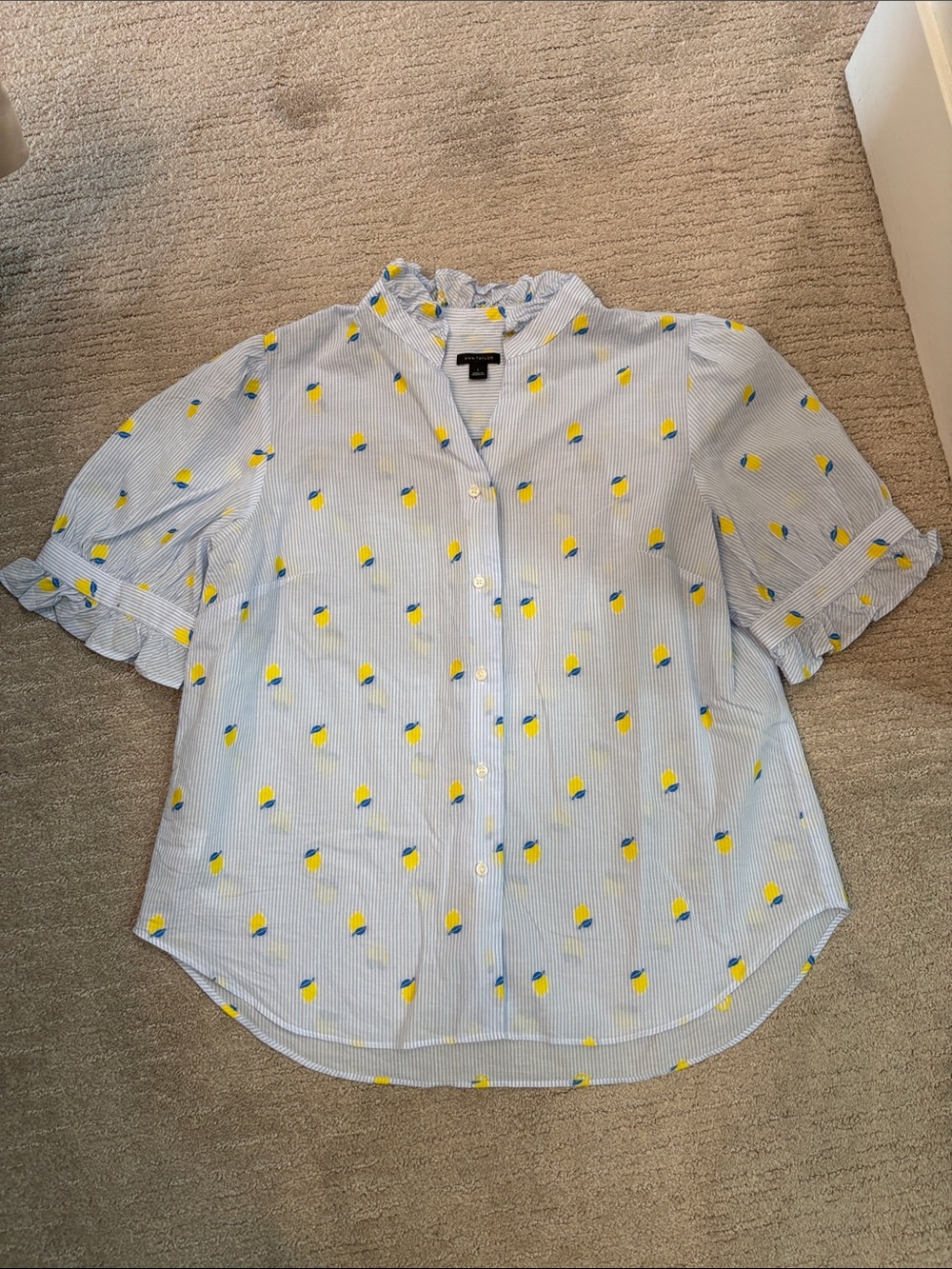 Ann Taylor top